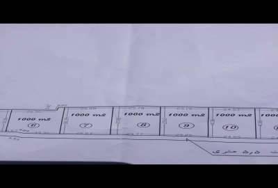 فروش فوری زمین باغی ۵۰۰ متر در صحرای سفید آب حبیب آباد