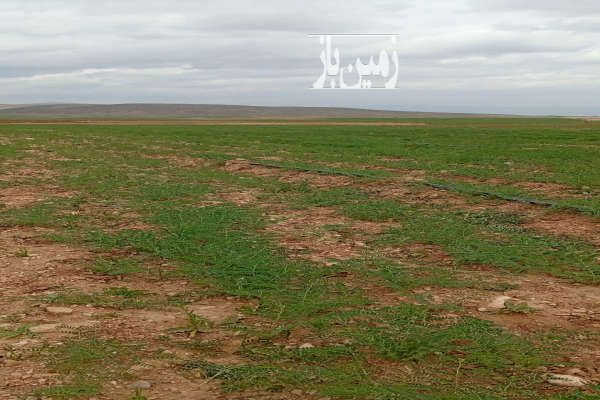 فروش زمین کشاورزی شهید آباد بیضا ۳ هکتار-1
