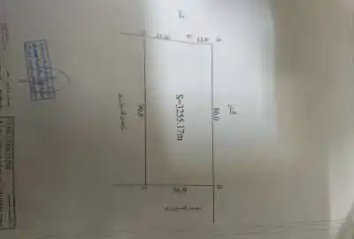 فروش ۳۲۰۰ متر زمین باغ شهری در روستای احمدی بوشهر