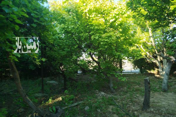 باغ ۷۰۰ متری جنوب آزادراه تهران ساوه اراضی باغستان شفق-3