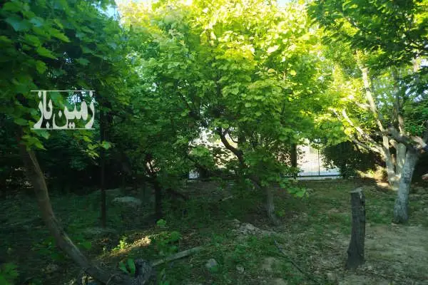 باغ ۷۰۰ متری جنوب آزادراه تهران ساوه اراضی باغستان شفق - تصویر 3