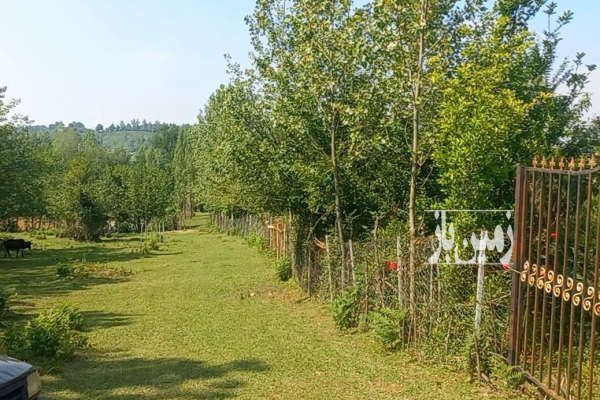 فروش زمین باغی ۵۶۰ متر در دل طبیعت شفت روستای چماچا-1