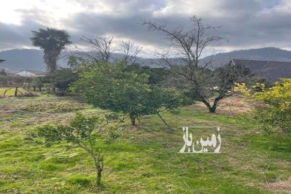 فروش زمین ۴۱۱ متر روستای دیگه سرا مسکونی-2