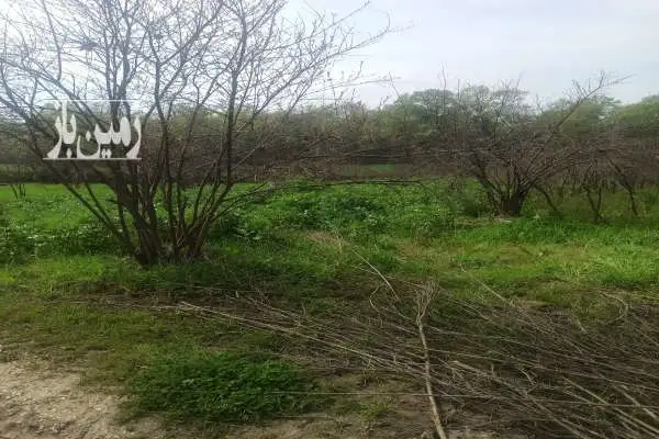 فروش باغچه ۵۰۰ متر کردکوی روستای چقر - تصویر 2