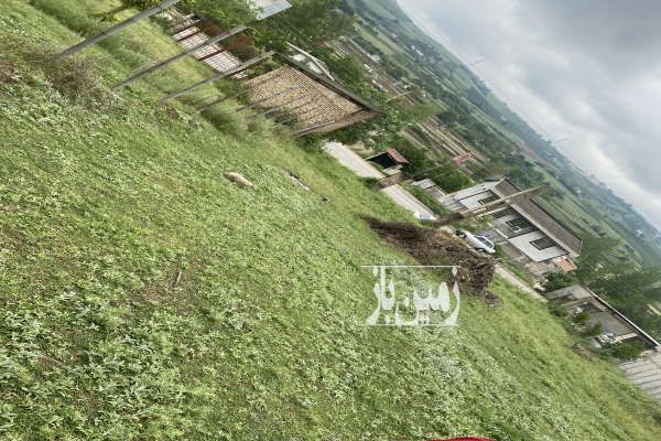 فروش زمین مسکونی ۲۰۰ متر روستای لالیم بر آسفالت-2