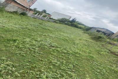 فروش زمین مسکونی ۲۰۰ متر روستای لالیم بر آسفالت