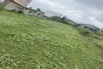 فروش زمین مسکونی ۲۰۰ متر روستای لالیم بر آسفالت