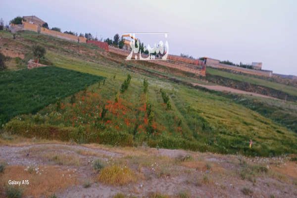 زمین در روستای بالندر نزدیک بافت ۳۵۰۰ متر-1