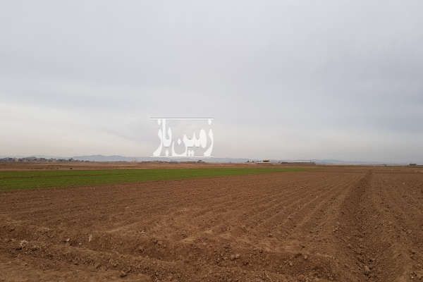 فروش ۵ هکتار زمین کشاورزی با قابلیت تغییر کاربری-1