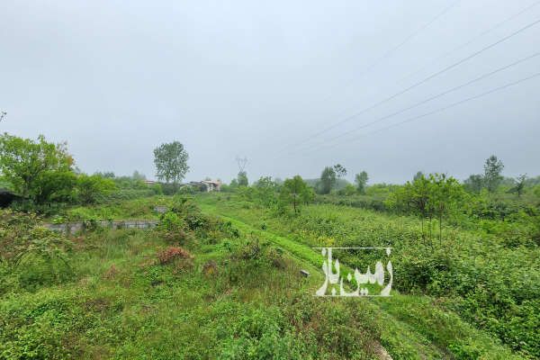 زمین ۲۰۰ متری مجوز ساخت سند و انشعابات کامل در شیرود-1
