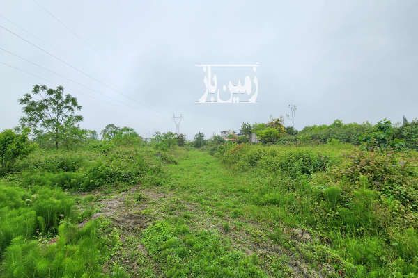 زمین ۲۰۰ متری مجوز ساخت سند و انشعابات کامل در شیرود-4