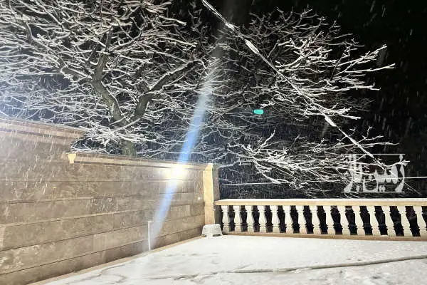 زمین در روستای توریستی ملحمدره ۱۵۰ متر - تصویر 3