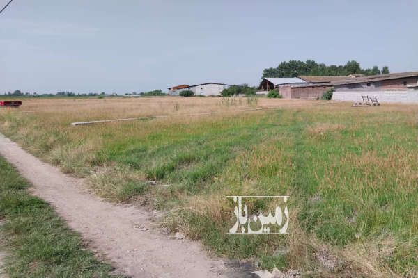 زمین باغی جاده آمل به بابل روستای علیشاه ۴۵۰ متر-3