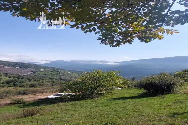 زمین در رامسر روستای ییلاقی نمکدره ۶۲۵ متر - تصویر 2