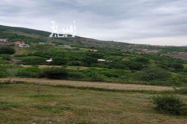 زمین در رامسر روستای ییلاقی نمکدره ۶۲۵ متر-3