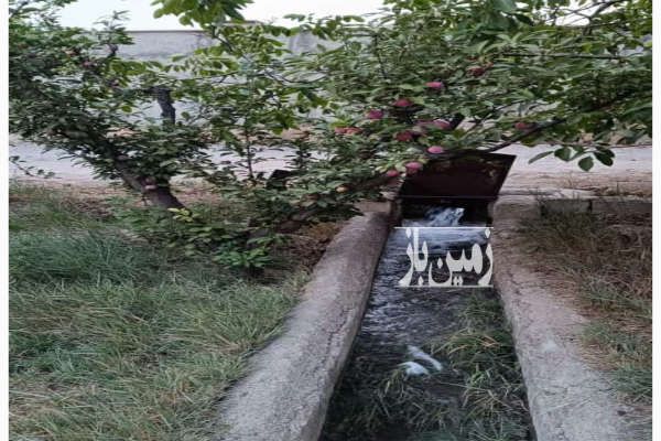 باغ میوه مثمر رامجین خ پامچال ۳۷۲ متر-2