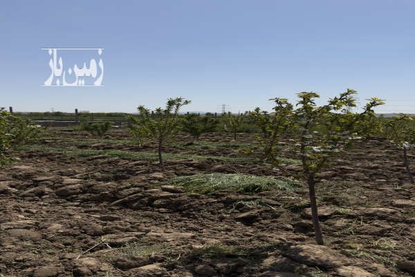 باغچه واقع در سهیلیه معاوضه با ماشین ۵۰۰ متر-4