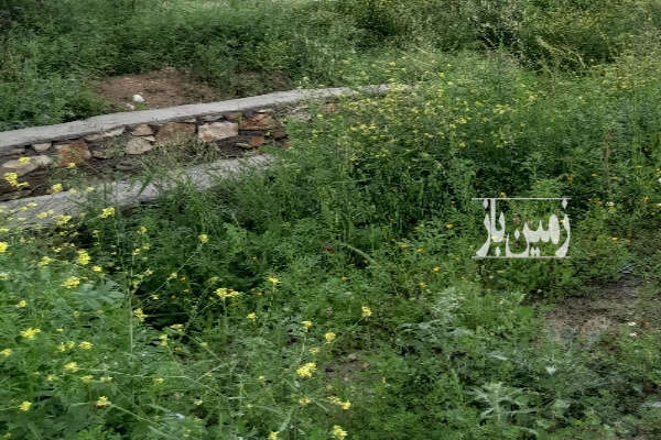 زمین طرح جوانی لردگان خیابان ۲۰ متری روبروی فضای سبز-1