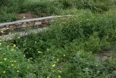 زمین طرح جوانی لردگان خیابان ۲۰ متری روبروی فضای سبز