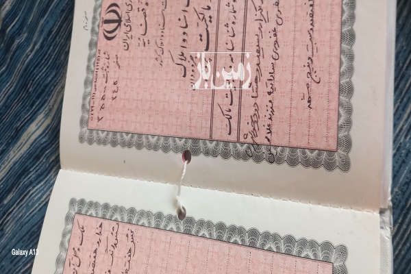 زمین باغی وقنات واقع در بخش ۷چناران ۵۰۰ متر-3