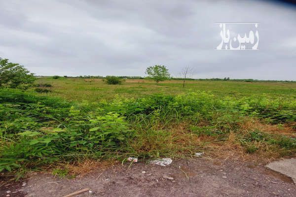 زمین براصلی اتوبان سراوان رشت ۲۶۳۱ متر-2