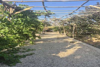 باغ در قلب درچه پیاز اصفهان ۱۵۰۰ متر