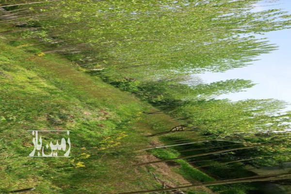 زمین مسکونی لاهیجان روستای سیاهگوراب بالا ۵۵۴ متر-2