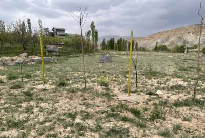 زمین ۶۰۰ متری باغ فیروزکوه روستای دهین