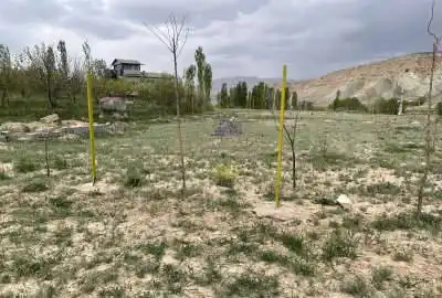 زمین ۶۰۰ متری باغ فیروزکوه روستای دهین
