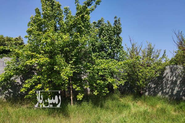 زمین در بابلسر مازندران فروش با شرایط مناسب ۳۴۳ متر-1
