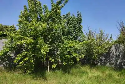 زمین در بابلسر مازندران فروش با شرایط مناسب ۳۴۳ متر
