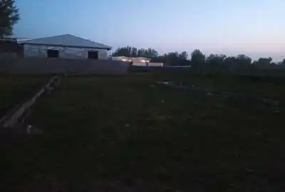 زمین ۲۰۰ متری خشکبیجار روستای بلسکله