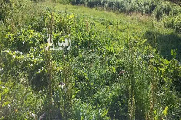 زمین زراعی دارای چشمه در سرعین روستای کنزق ۲۲۰۰ متر - تصویر 2