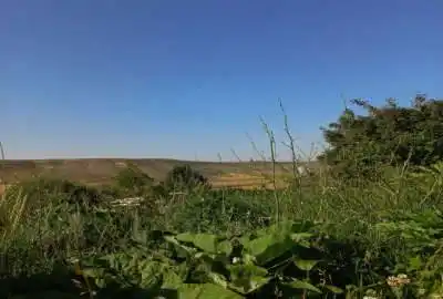زمین زراعی دارای چشمه در سرعین روستای کنزق ۲۲۰۰ متر