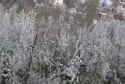 باغ جاده ی کن بعد از سولقان سنگان محله ی باغدره ۳۴۰ متر