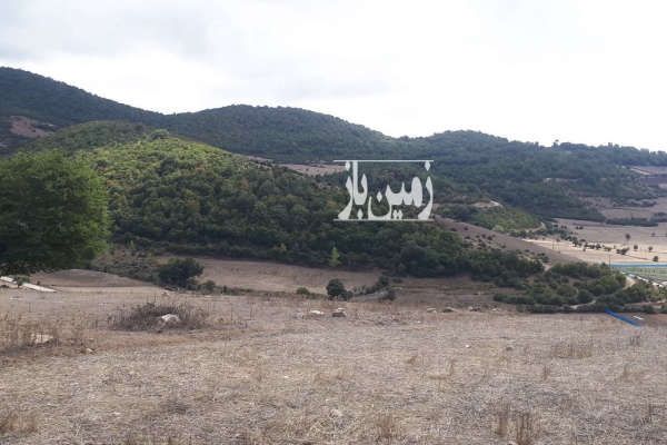 زمین ویلایی روستای خلرد نزدیک کیاسر ۲۸۵ متر-3
