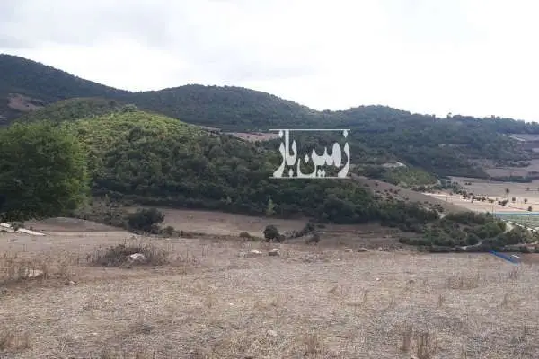 زمین ویلایی روستای خلرد نزدیک کیاسر ۲۸۵ متر - تصویر 2