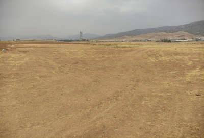زمین کشاورزی صنعتی با مجوز گلخانه و مجوز چاه ۵۰۰۰ متر