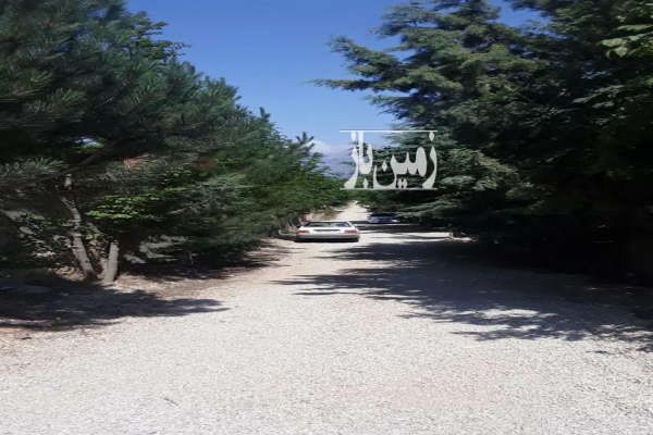 زمین مسکونی در روستای ییلاقی شهرکی واوسر ۲۵۰ متر-3