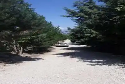 زمین مسکونی در روستای ییلاقی شهرکی واوسر ۲۵۰ متر
