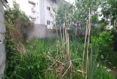 زمین مسکونی در شهر کوچصفهان ۲۲۲ متر