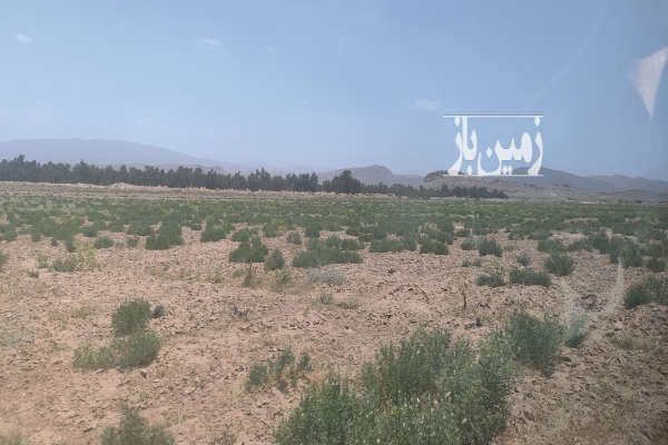 زمین کشاورزی میانده بعد از نصیر آباد میونده پوزه گر ۵ هکتار-1