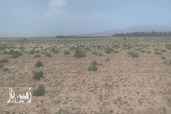 زمین کشاورزی میانده بعد از نصیر آباد میونده پوزه گر ۵ هکتار-3