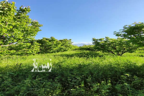 باغ آماده سرسبز در سیه رود ۵۰۰۰ متر-4