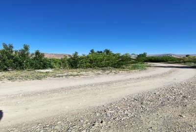 باغ آماده سرسبز در سیه رود ۵۰۰۰ متر