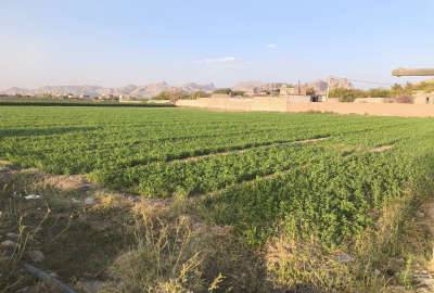 زمین کشاورزی مناسب سوله و دامداری ۴۵۰۰ متر