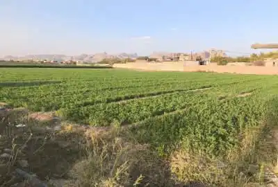 زمین کشاورزی مناسب سوله و دامداری ۴۵۰۰ متر