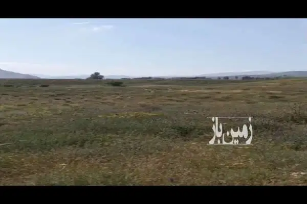 زمین زراعی بخش لاریجان آمل روستای زیار ۵ هکتار - تصویر 2