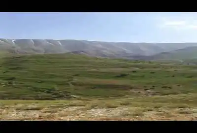 زمین زراعی بخش لاریجان آمل روستای زیار ۵ هکتار