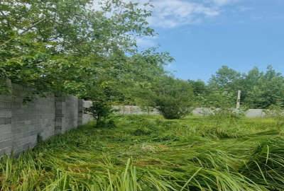 زمین در چاپار خانه ۷ دقیقه تا منطقه آزاد انزلی ۶۸۰ متر